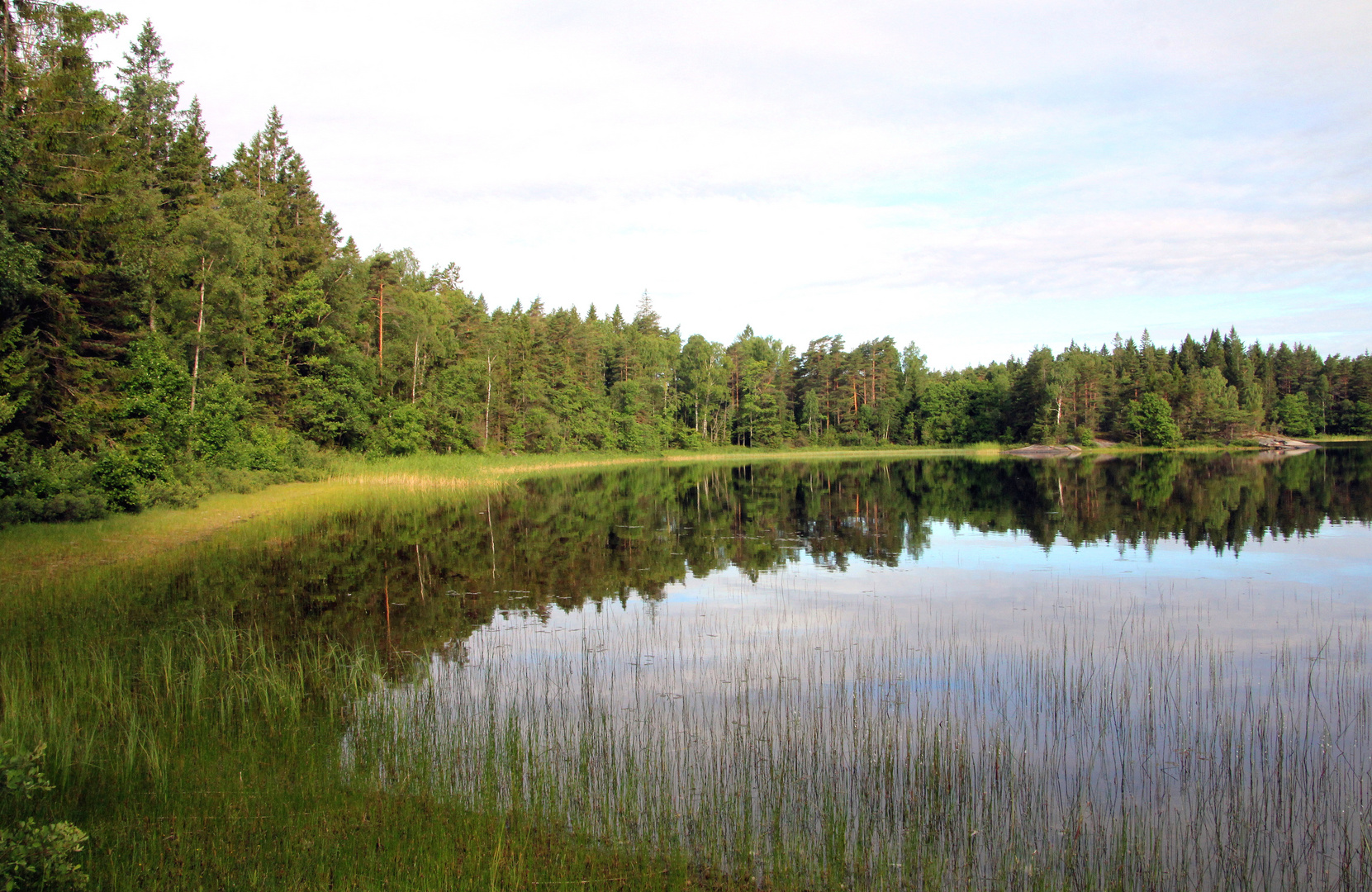 Natur -  Pur