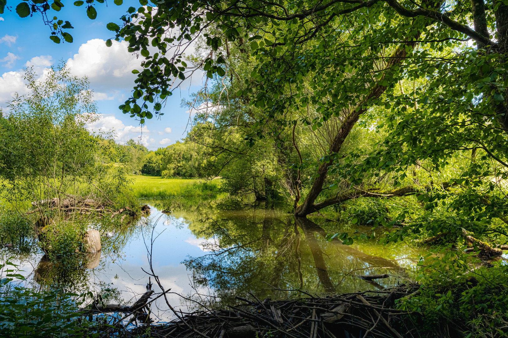 Natur pur