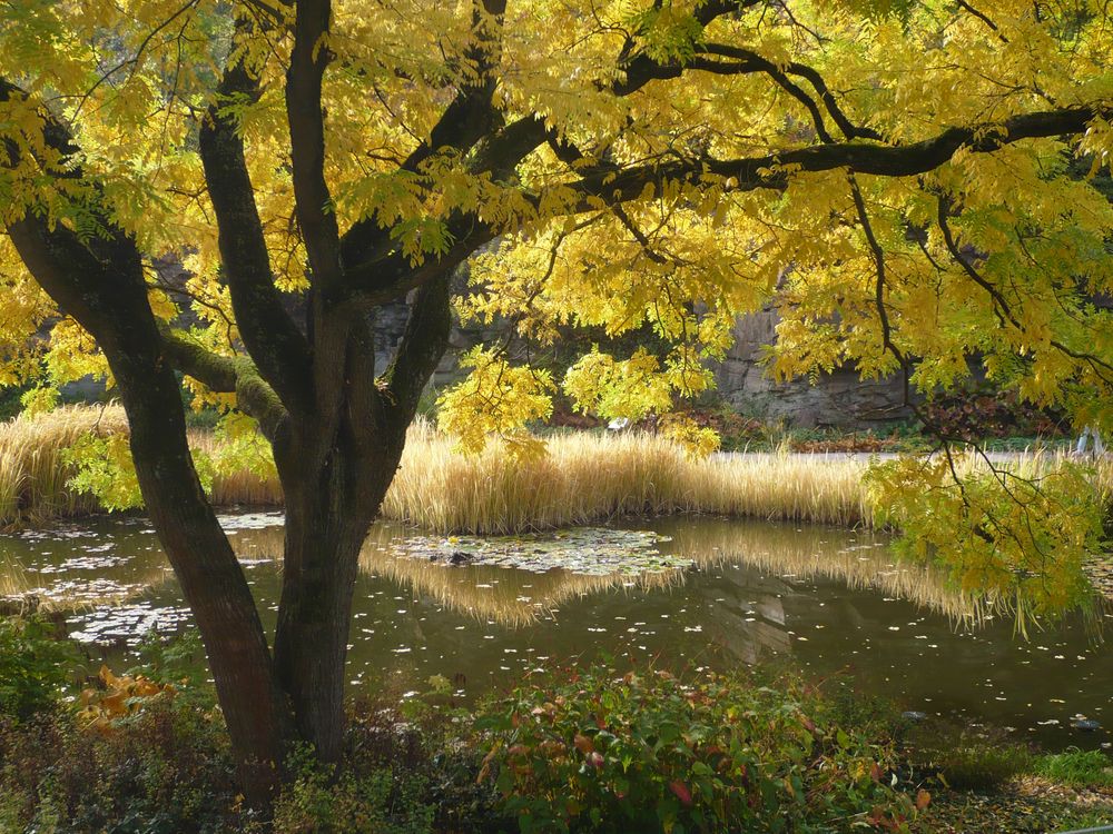 Natur pur 12 Foto & Bild landschaft, garten & parklandschaften