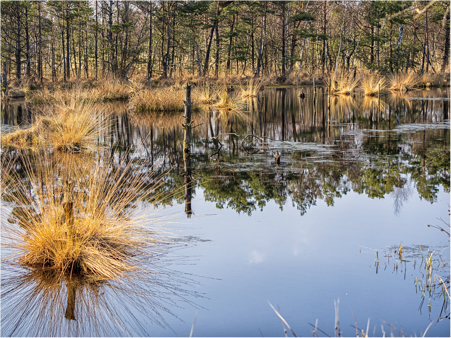 Natur pur.....