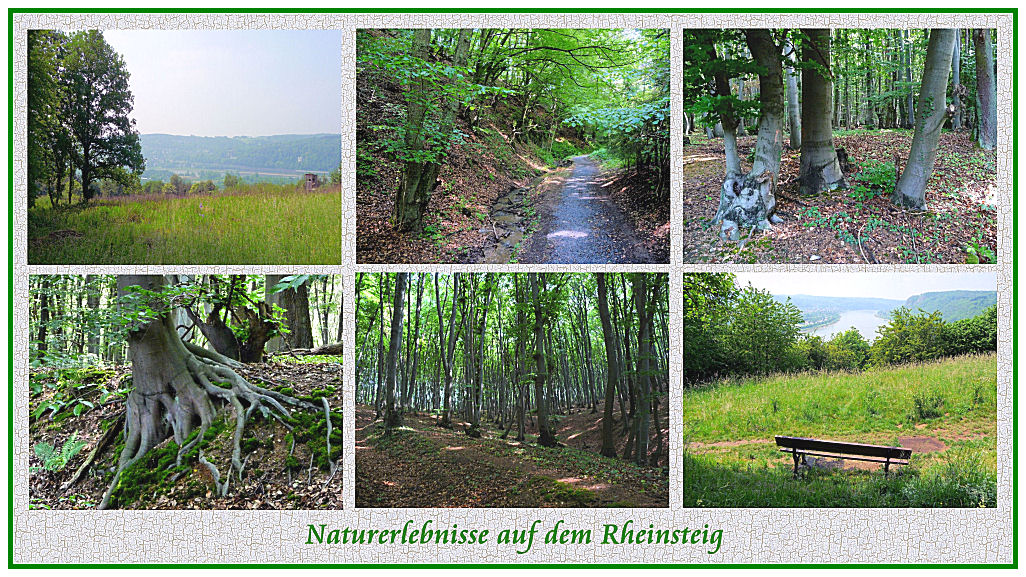 Natur pur