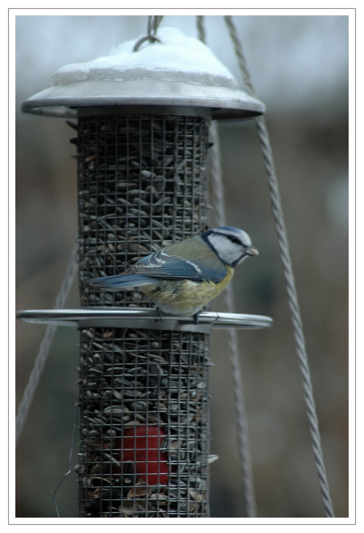 Natur Pur Foto & Bild in der natur Bilder auf