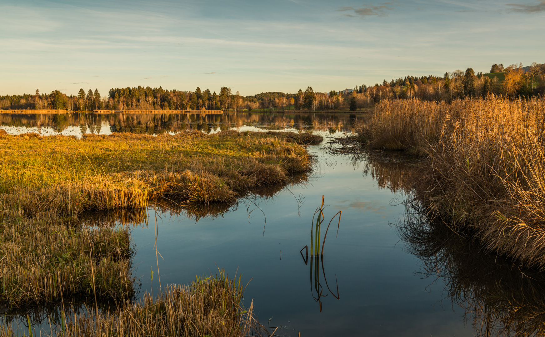 Natur pur