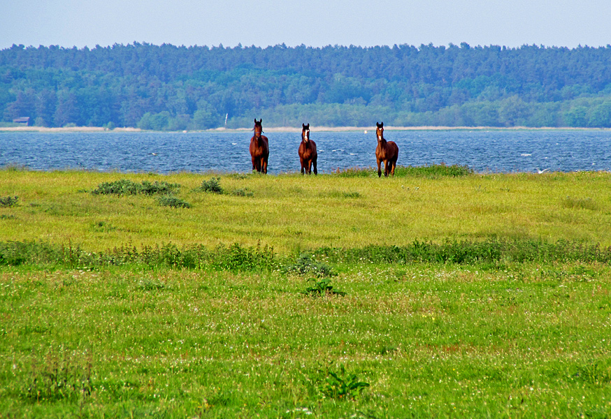 Natur pur.......