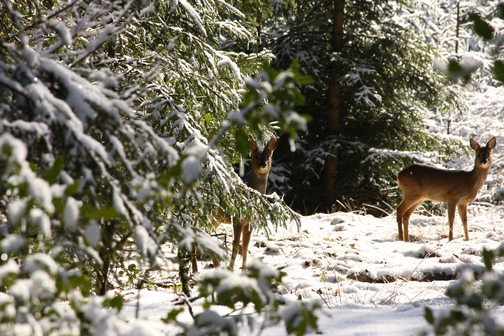 Natur pur.