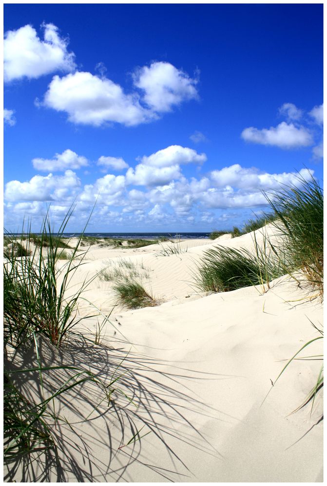 Natur Pur von Kerrin Nissen 