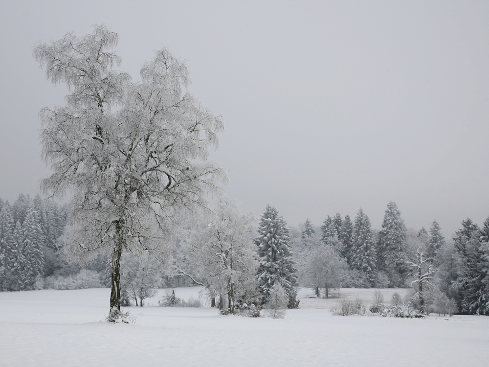 Natur pur!