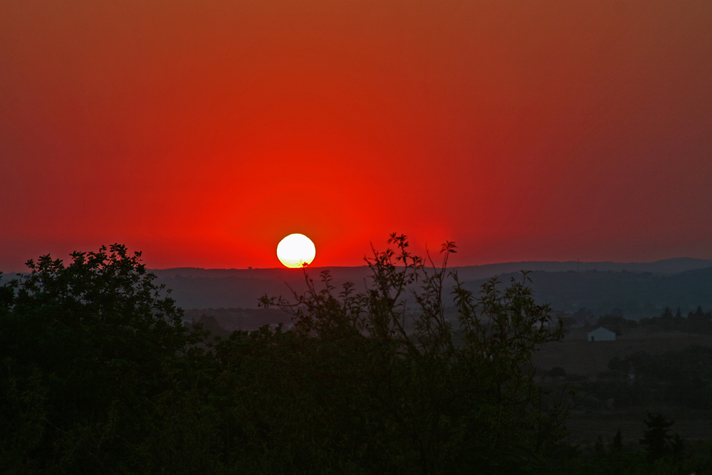 Natur pur von Anne Rudolph 