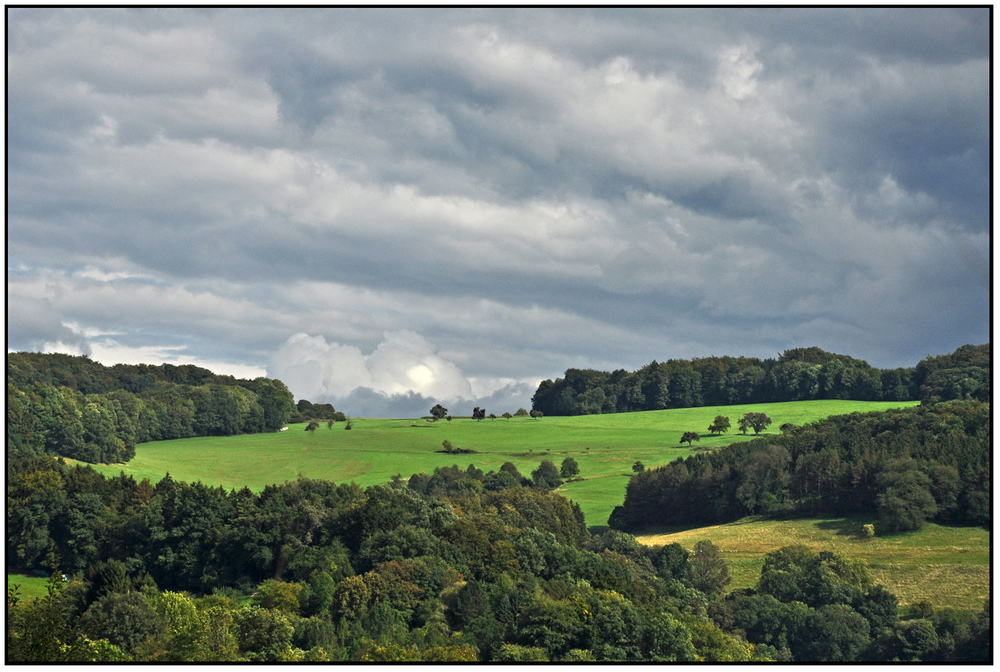 Natur-pur