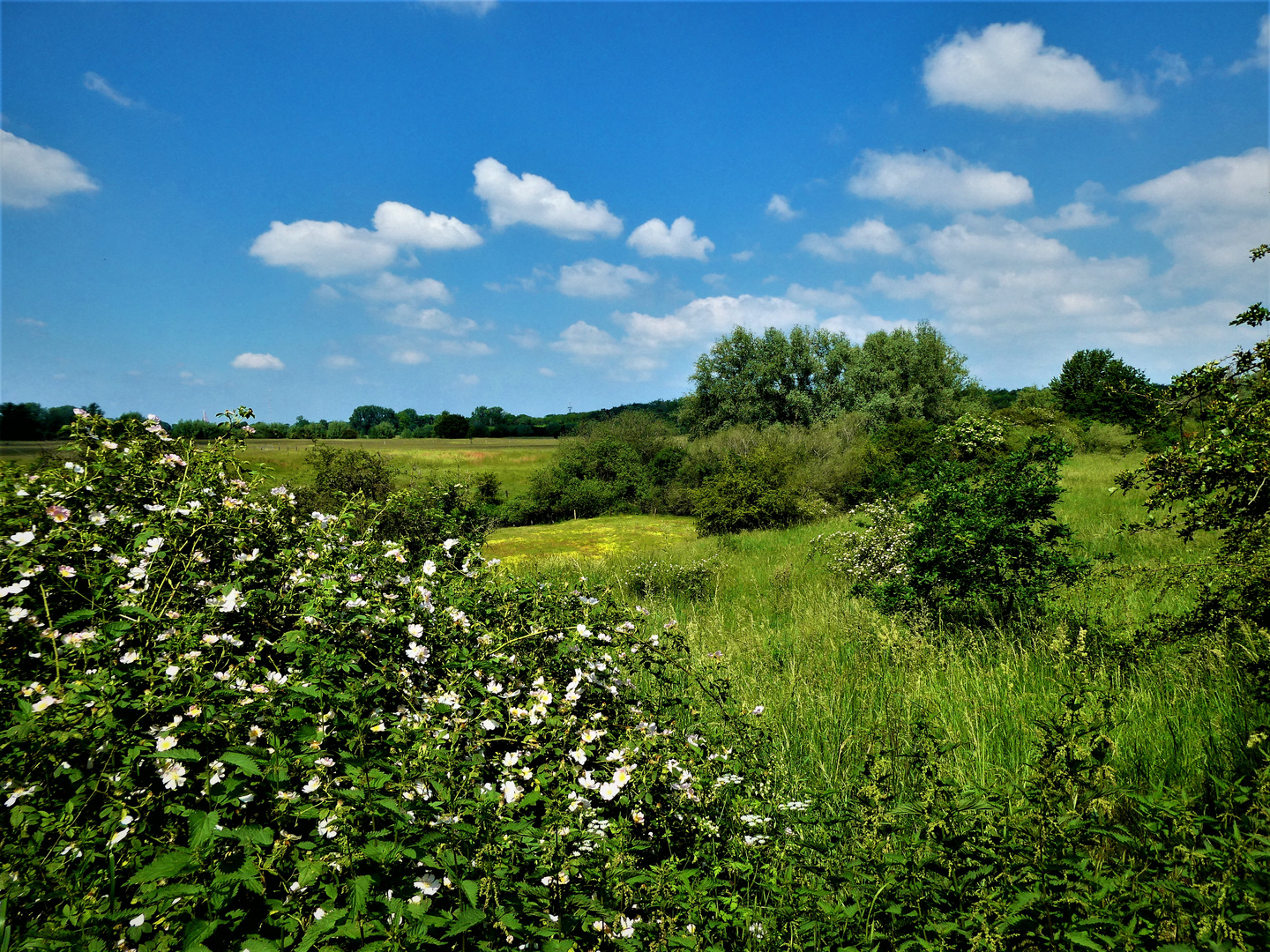 Natur pur