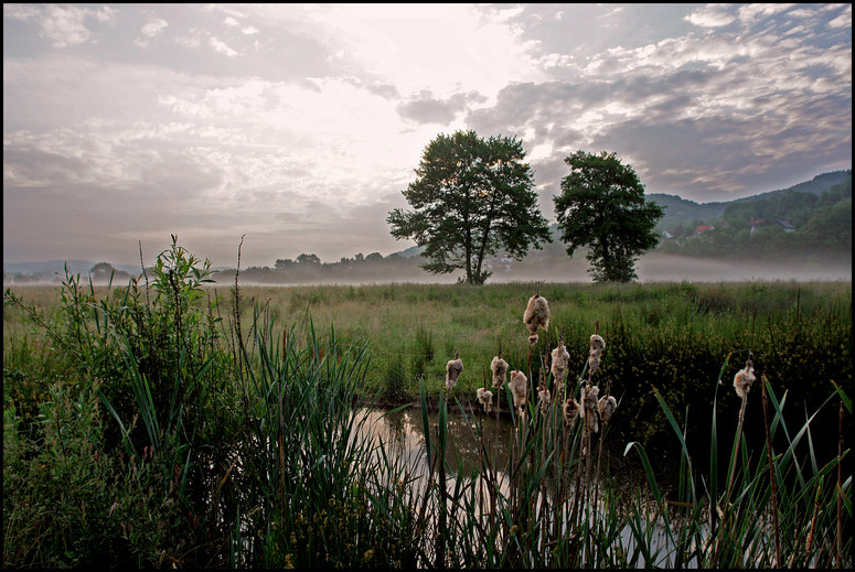 Natur pur