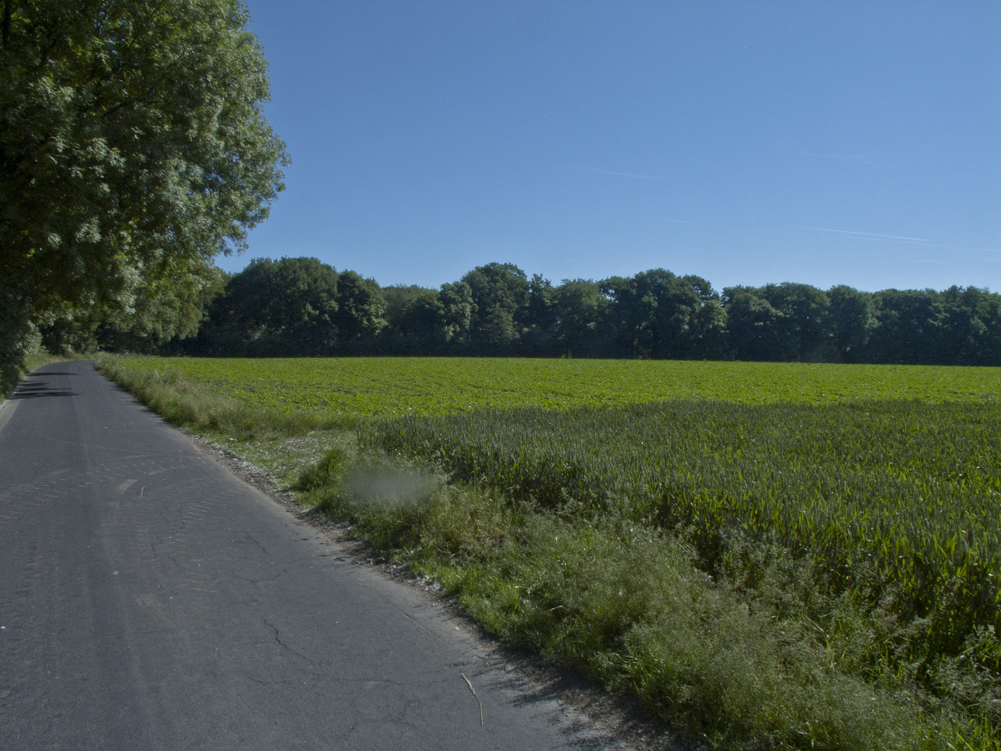 Natur pur ... äh grün