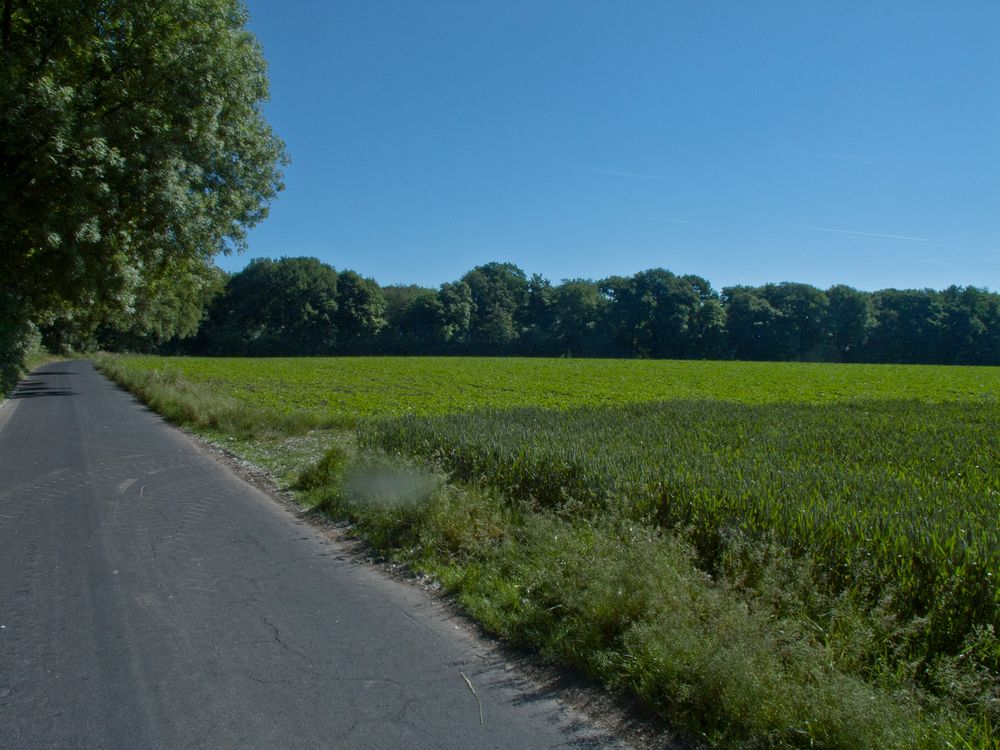 Natur pur ... äh grün