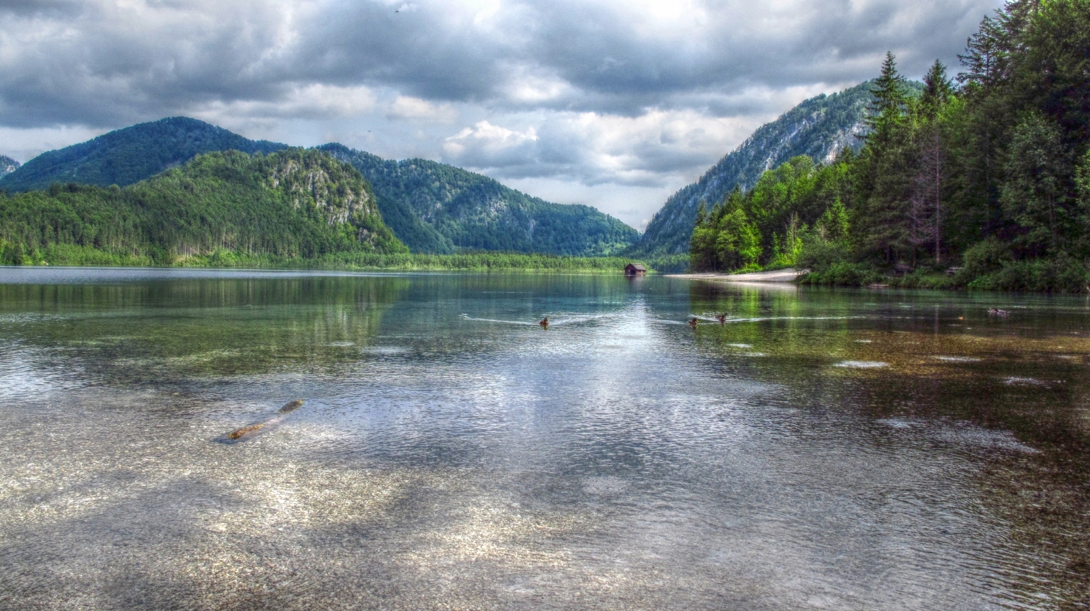 Natur pur am Almsee