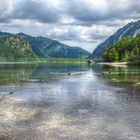 Natur pur am Almsee