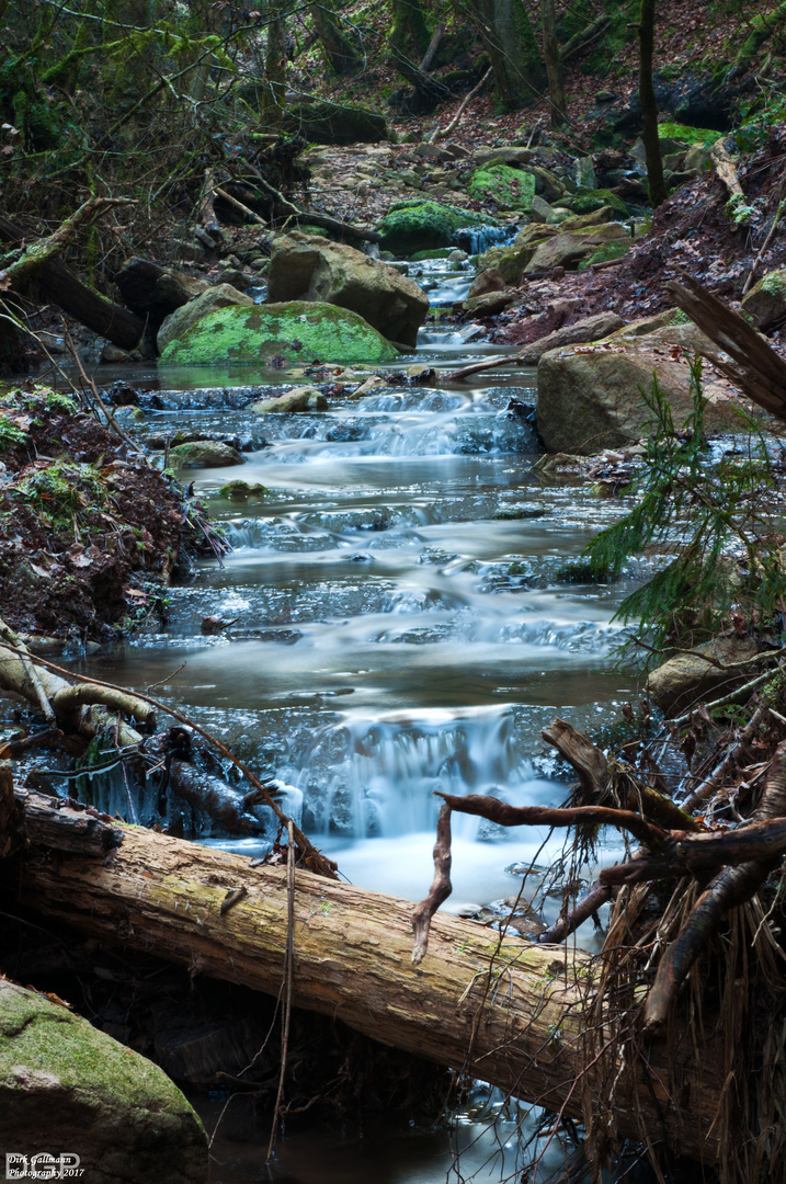 Natur pur am Hörschbach - Murrhardt