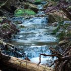 Natur pur am Hörschbach - Murrhardt