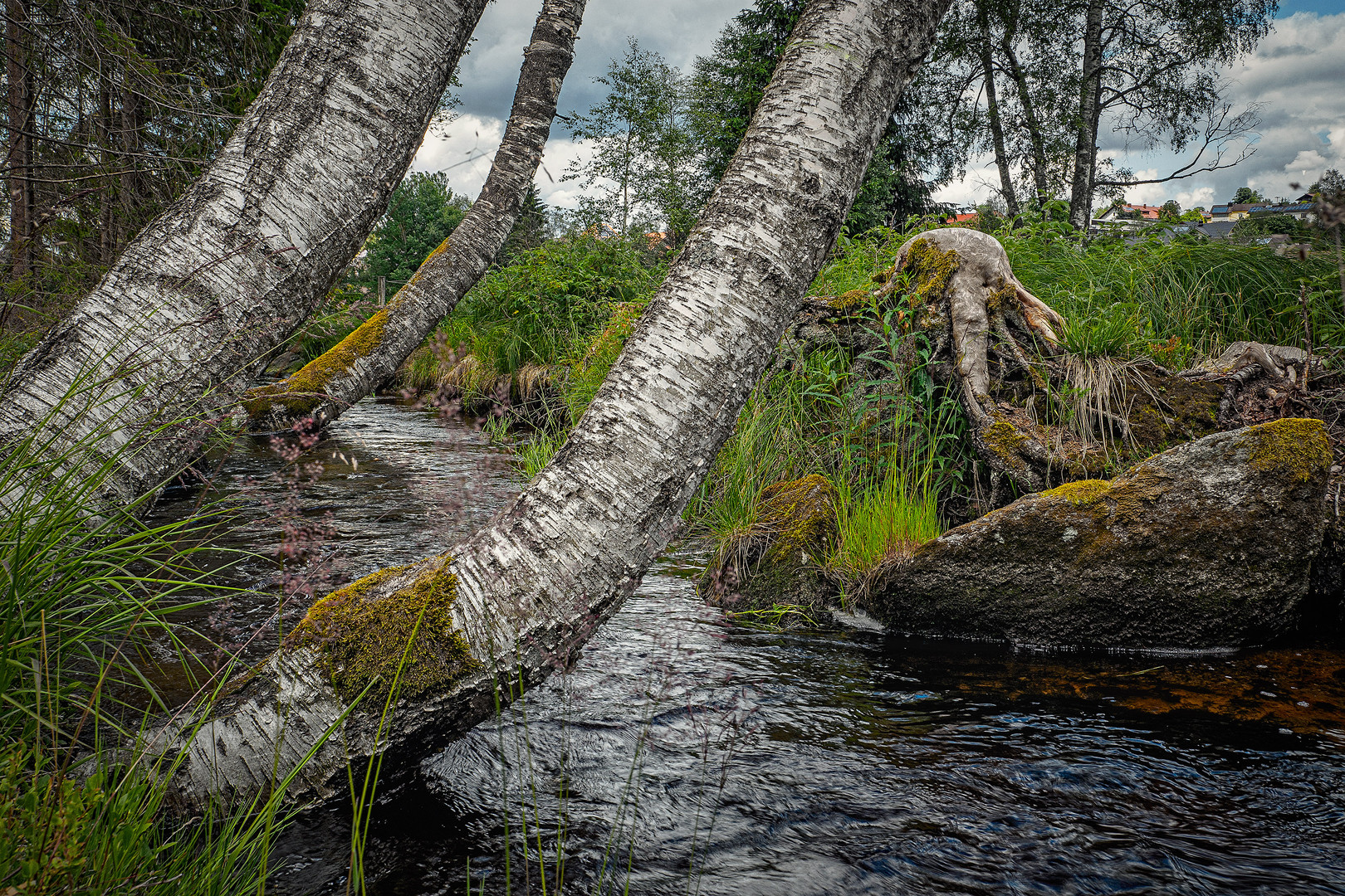 Natur pur - am Industriesteig