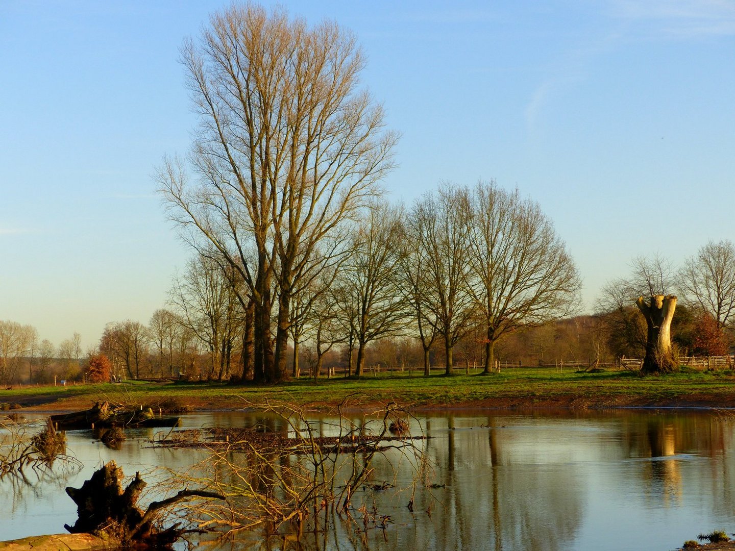 Natur pur am Niederrhein 