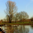 Natur pur am Niederrhein 