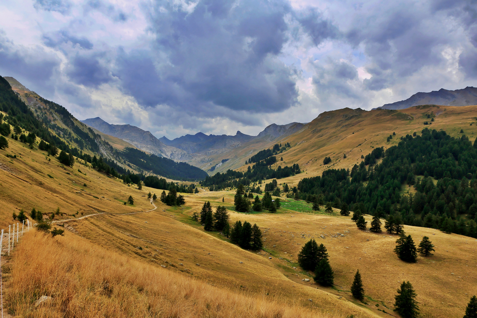 Natur Pur am Rande der RDGA