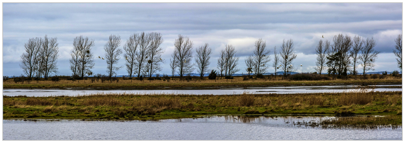 Natur pur am Spandower Haken