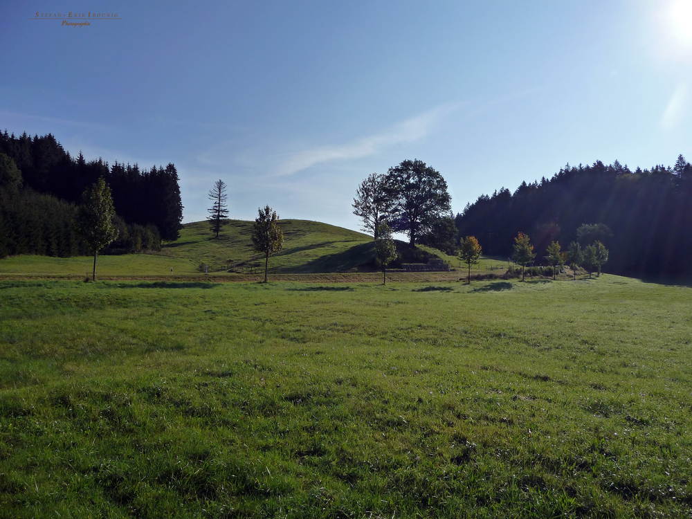 "Natur pur an der Hauptstraße Missen - Immenstadt"