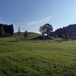 "Natur pur an der Hauptstraße Missen - Immenstadt"