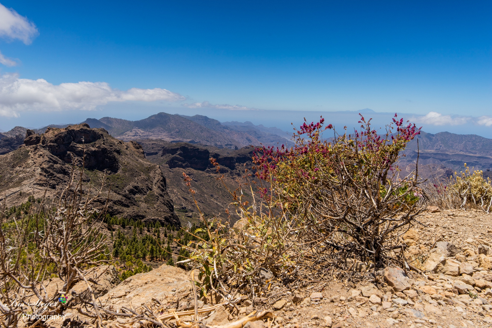 Natur pur auf Gran Canaria