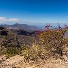 Natur pur auf Gran Canaria