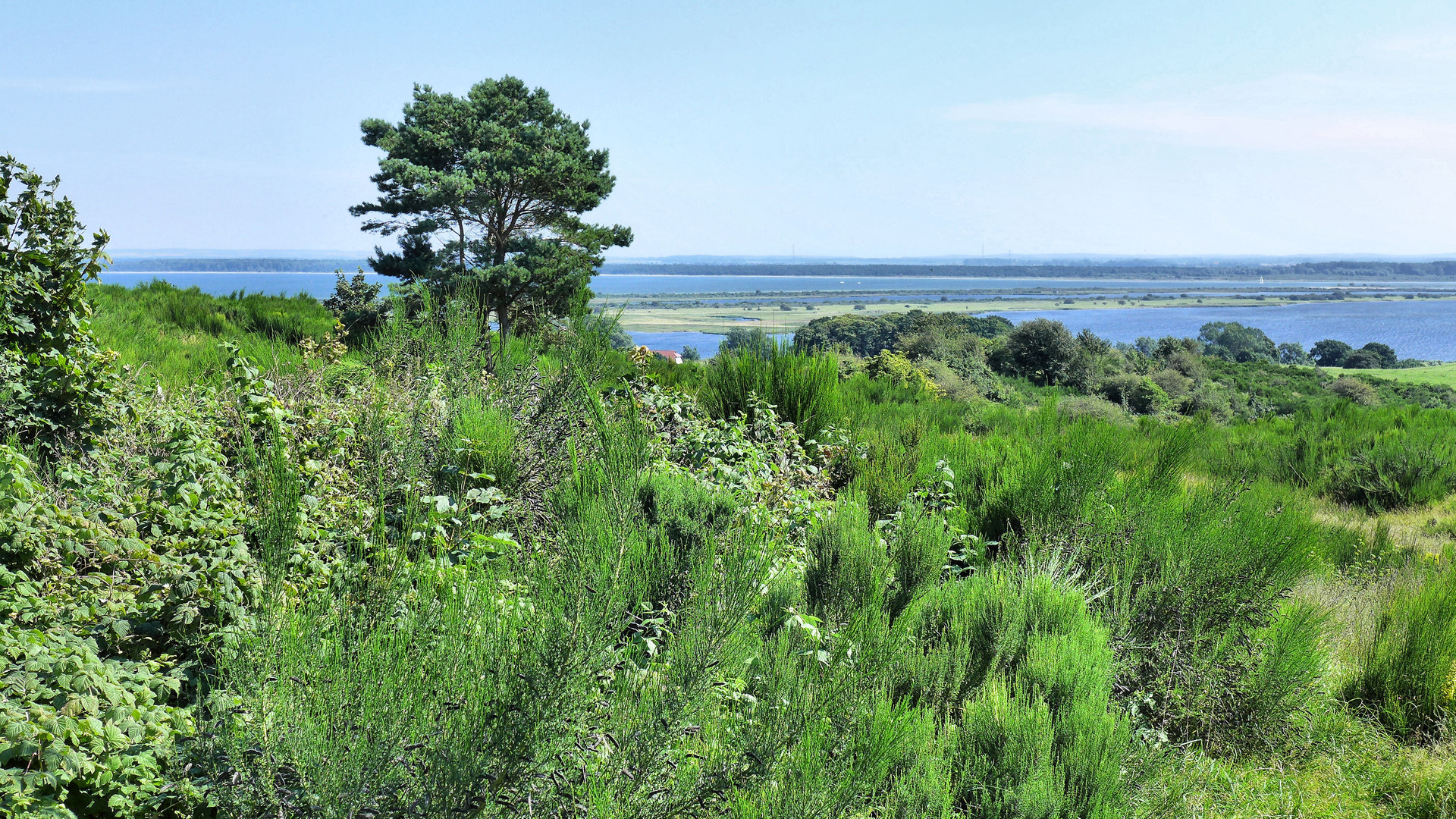 Natur pur auf Hiddensee