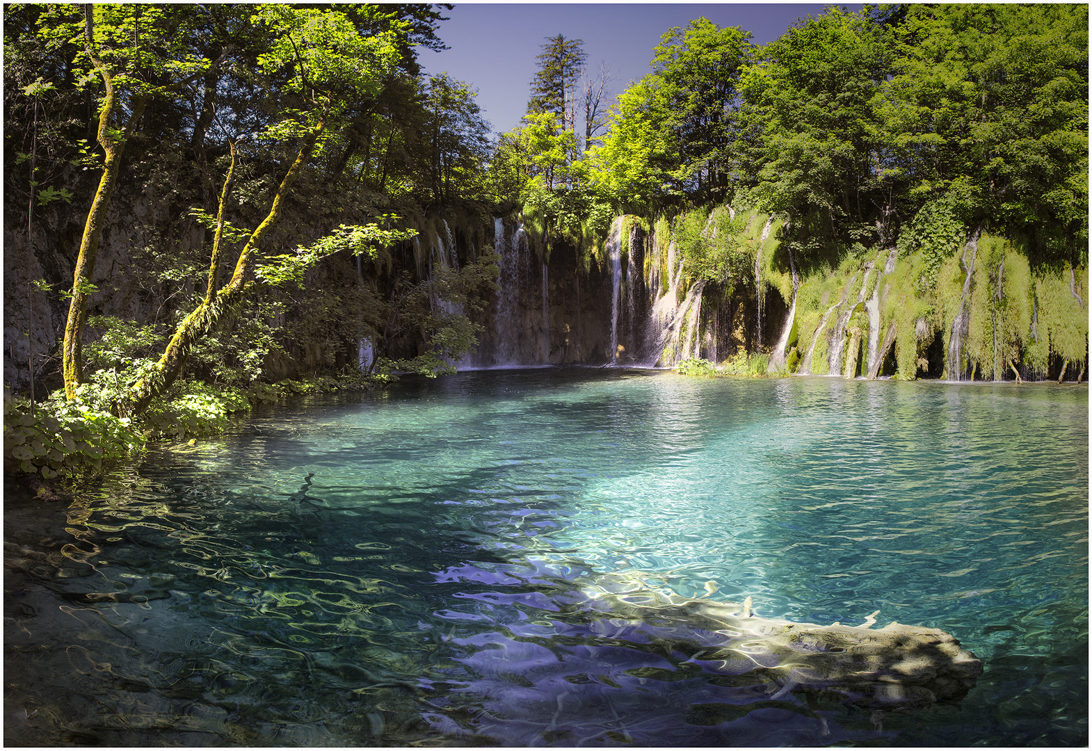 Natur Natur