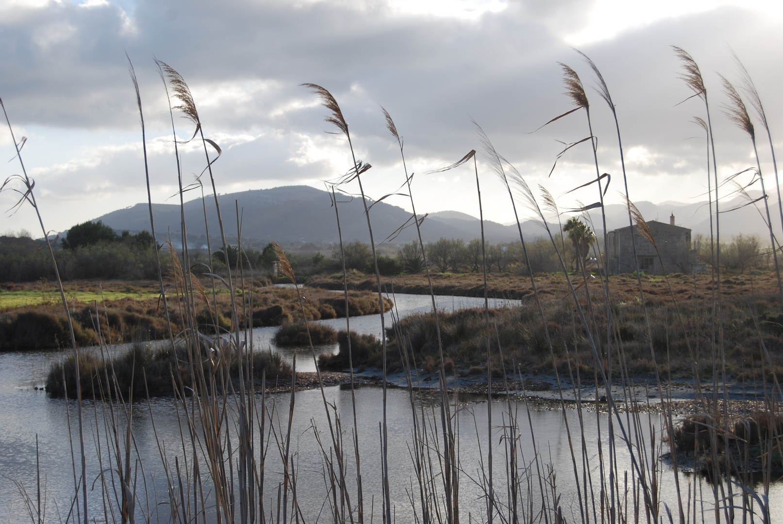 Natur pur