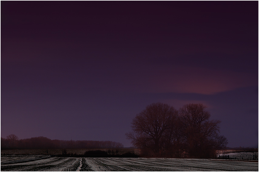 Natur Pur - Binsheimer Feld