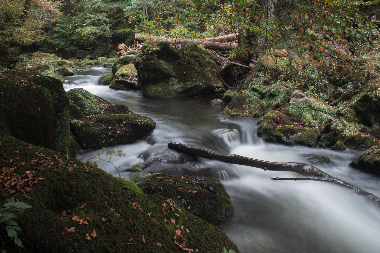 Natur pur