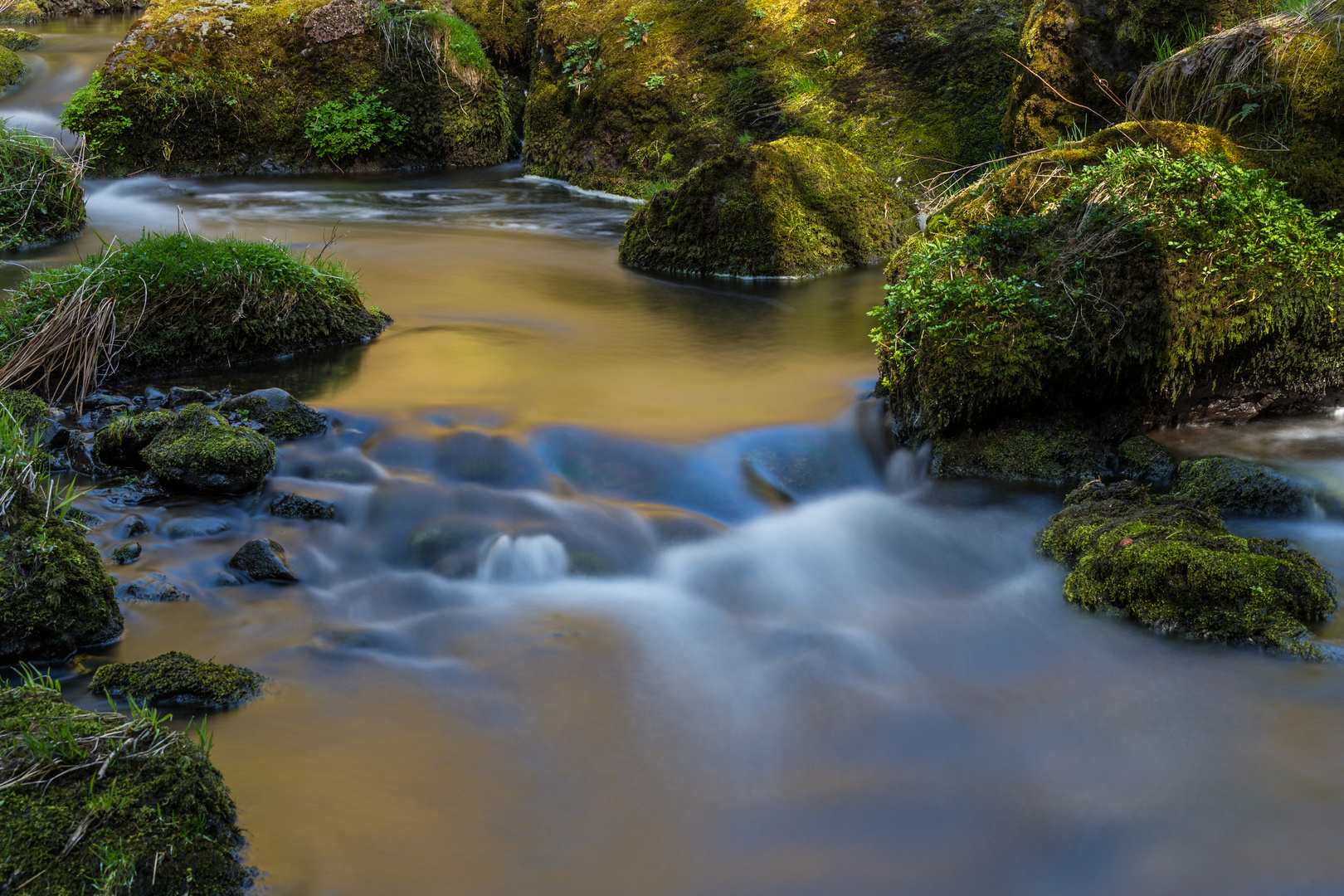 Natur pur Foto & Bild landschaft, natur Bilder auf