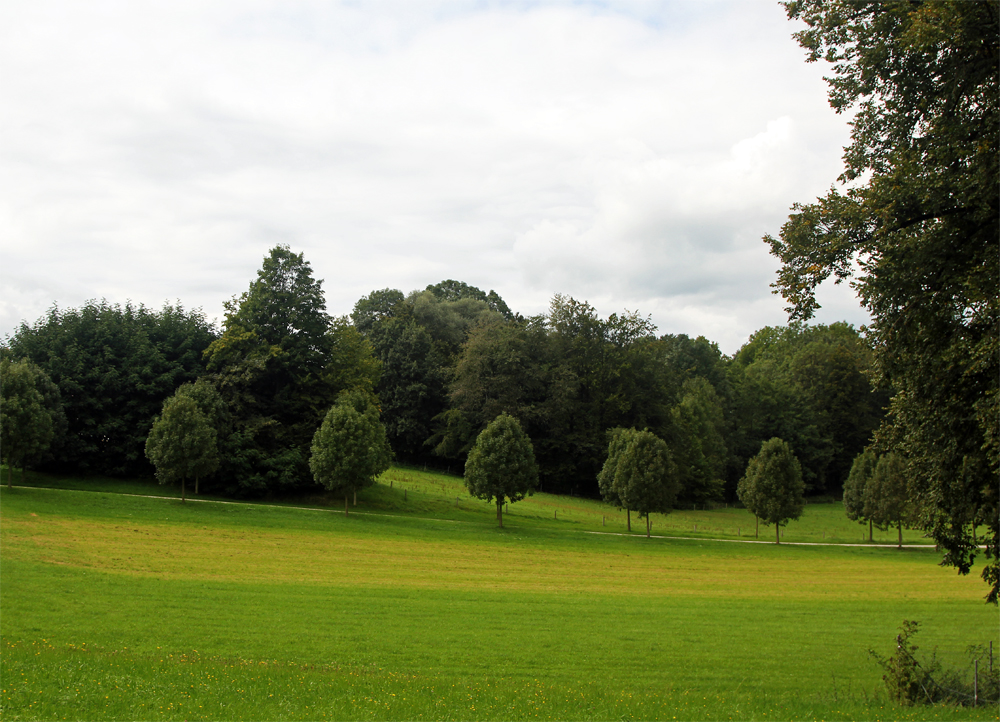 Natur pur von  Ralf Gros