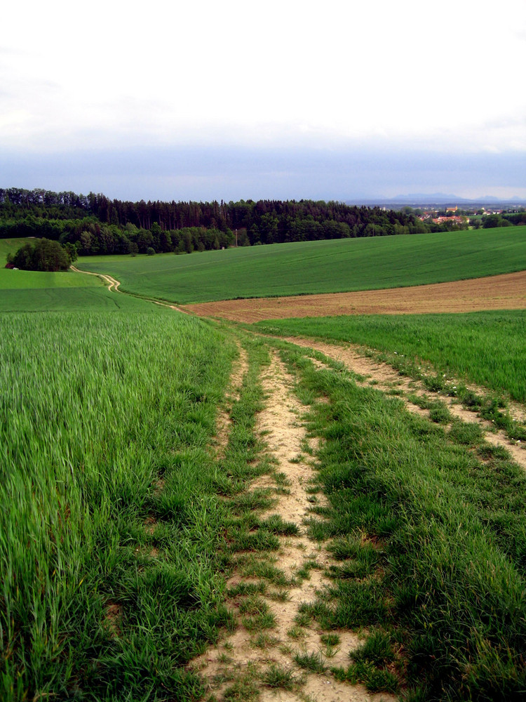 Natur Pur - Das Bergische