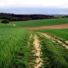 Natur Pur - Das Bergische