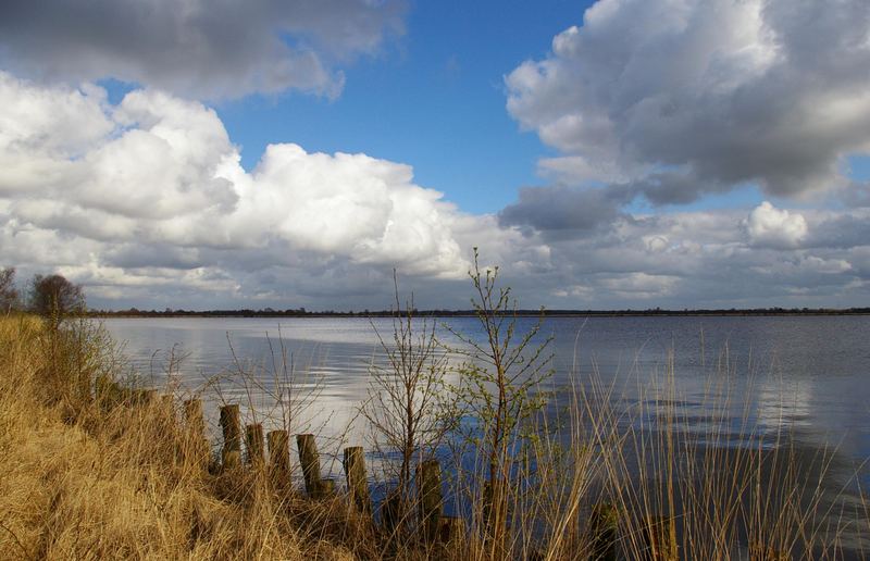 Natur pur............ das erste Grün.......