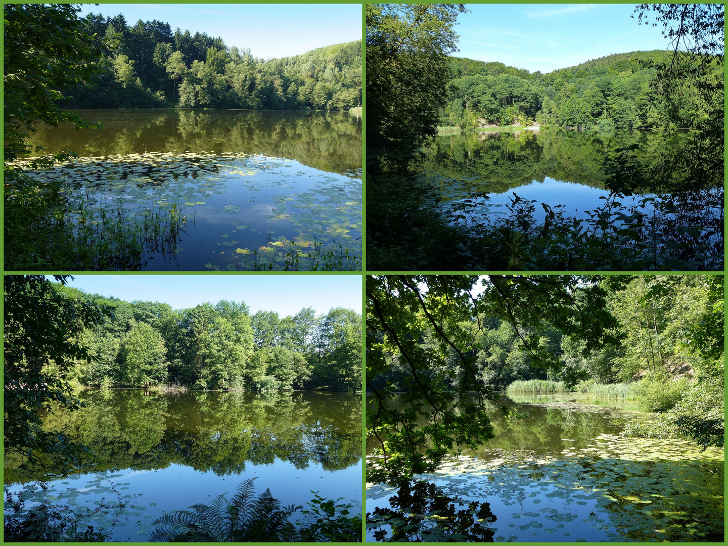 -Natur pur- der Bergsee bei Delliehausen-