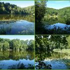 -Natur pur- der Bergsee bei Delliehausen-