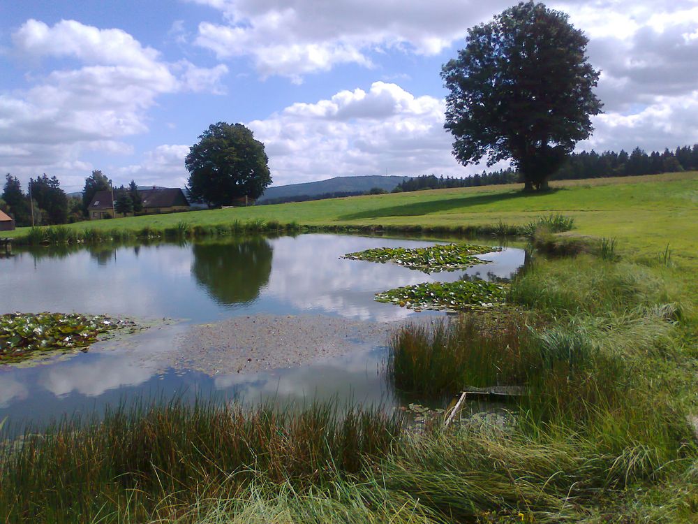Natur pur : Der Blick über den Teich zum Waldstein (Saalequelle) samt Sendemast