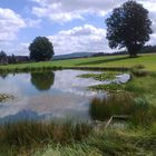 Natur pur : Der Blick über den Teich zum Waldstein (Saalequelle) samt Sendemast