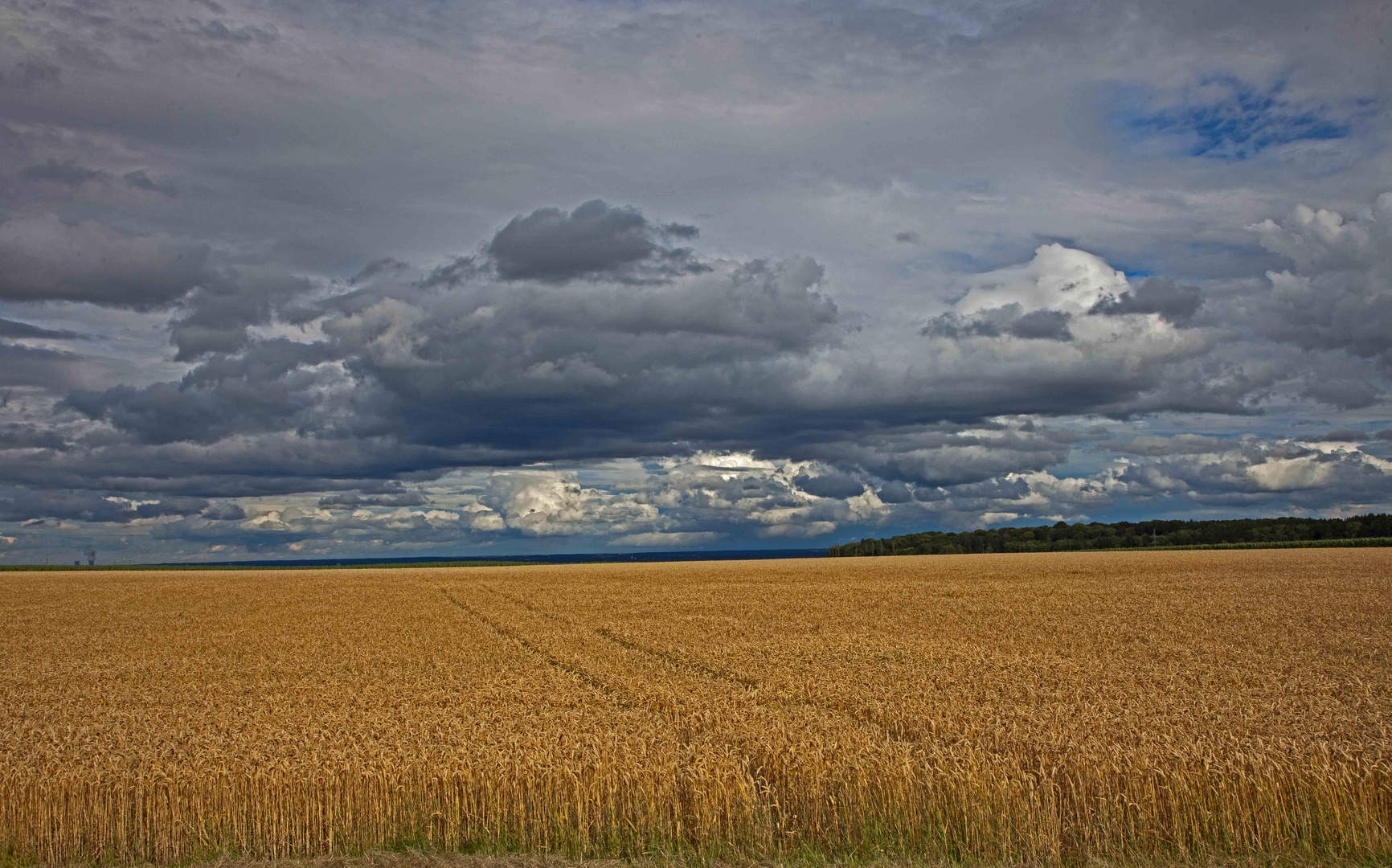 Natur pur die Alb bei Ulm