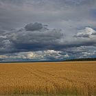 Natur pur die Alb bei Ulm