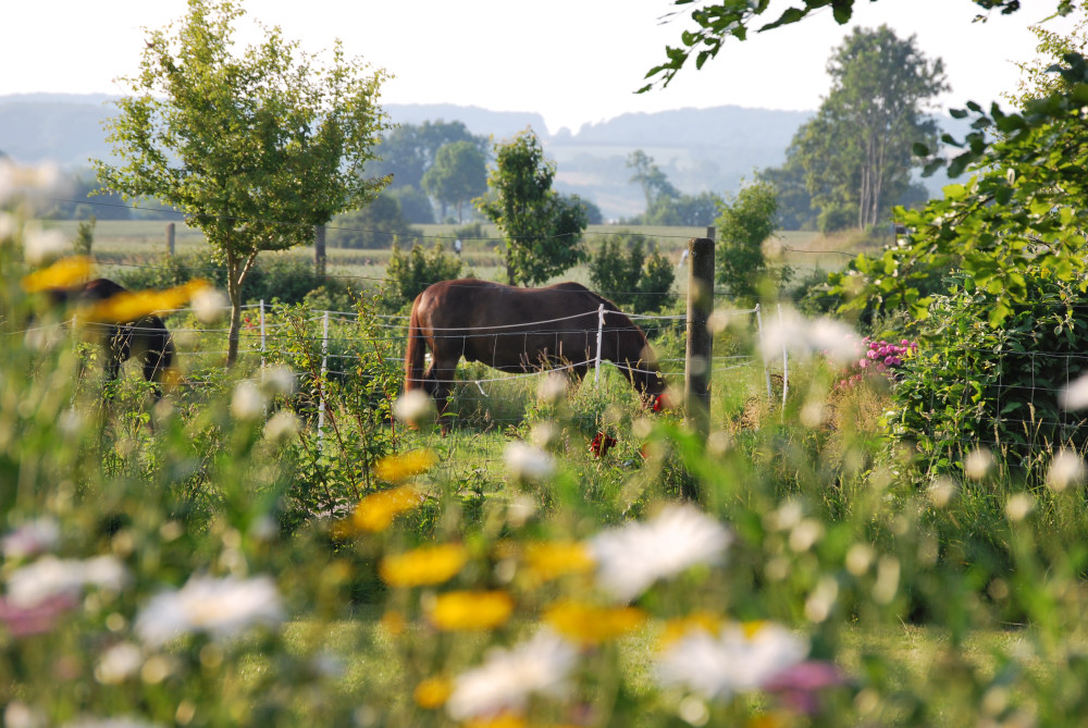 Natur pur