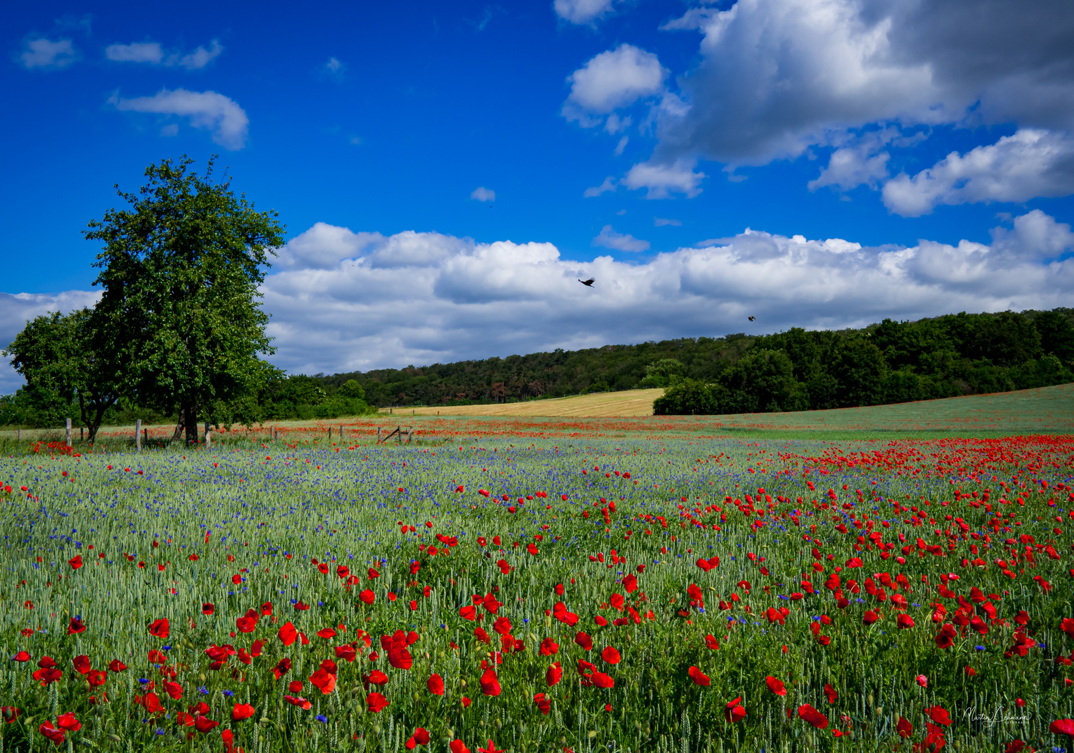 Natur pur