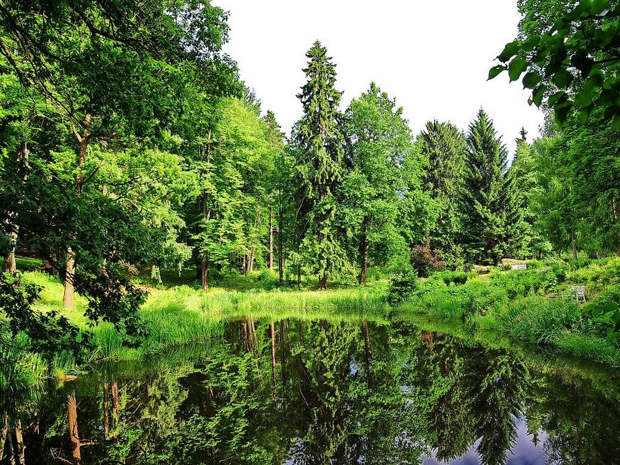 Natur pur, eine Parkanlage in Stonsdorf