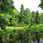 Natur pur, eine Parkanlage in Stonsdorf